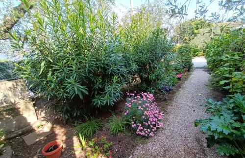 Lorena house - Foto 71