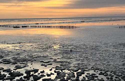 Ferienhaus Nordseejuwel - Photo 39