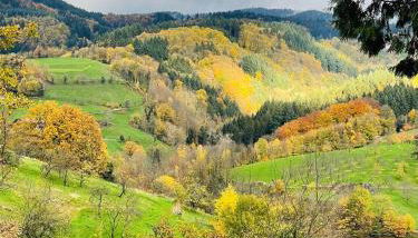 Einzigartiges Apartment, mitten in der Natur - Foto 3