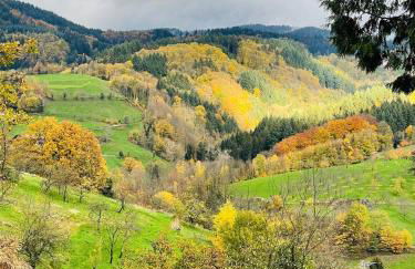 Einzigartiges Apartment, mitten in der Natur - Foto 3