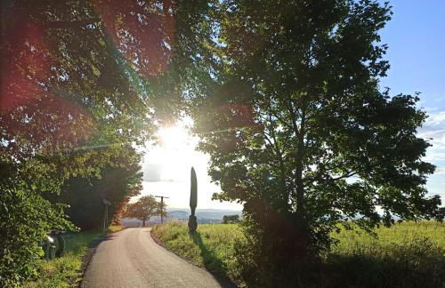 Ferienhaus Ziegelhof - Photo 19