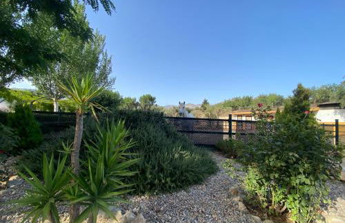 Villa Elisabeth - Foto 38