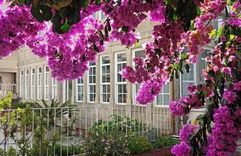 LA CASA ALTA en la ruta del Camino de Santiago - Foto 42