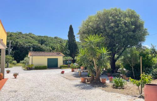 Il Leccio Agriturismo - Foto 59