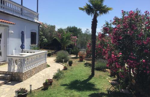 Apartmani Misic - Foto 3