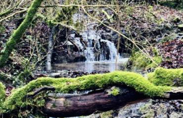 Equisoain Ala Sur - Foto 14