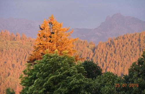 Ferienwohnung Bosch - Foto 8