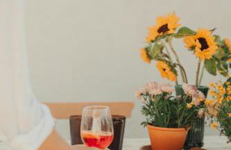 Collares Sintra Petit Palais - Foto 51