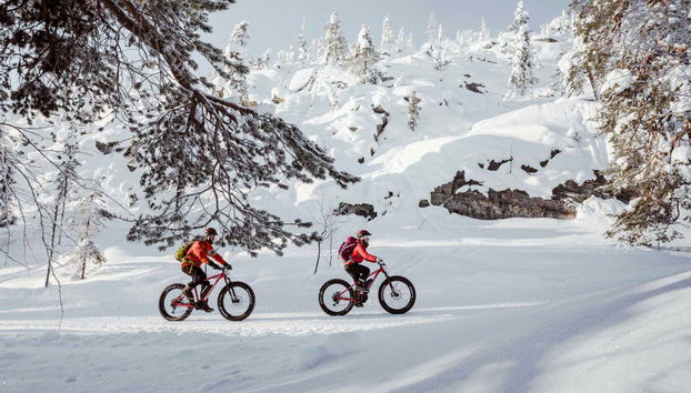 Pyhä-Luosto National Park Electric Bike Tour - Foto 2