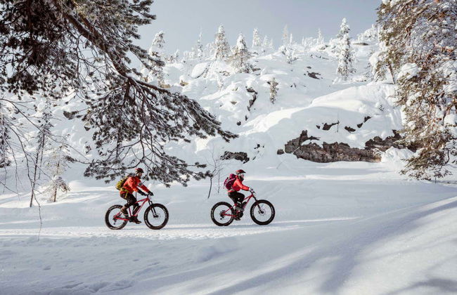 Tour en bicicleta eléctrica por el Parque Nacional Pyhä-Luosto - Foto 2