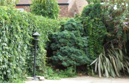 Beach house - Foto 10