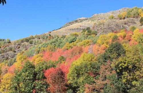 Duplex a la plaça Major - Foto 34
