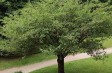 T3 COSY petit balcon 5mins France miniature - Foto 11