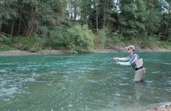 Apartments Brunella - Foto 12