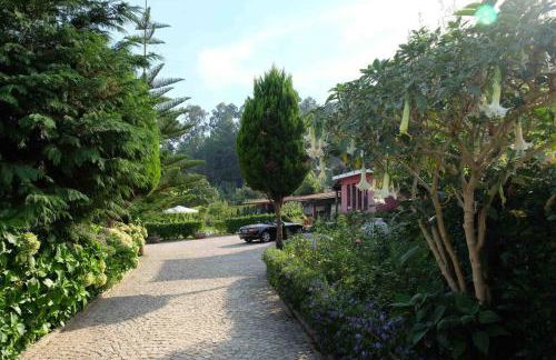 Leiras de Candoz Douro Valley - Foto 11