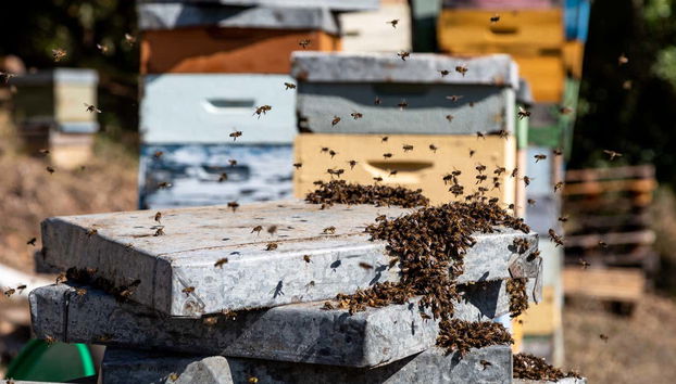 Fuoristrada del tour