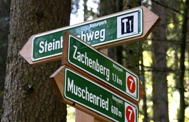 Ferienwohnung Max Riedl - Foto 21