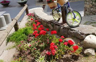 Casa Aranesa - Photo 45