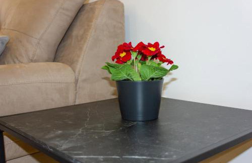 Luxury Apartment Petra - Photo 15