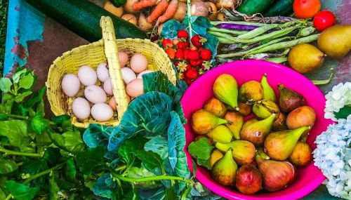 Casa de Requeixo - Foto 5