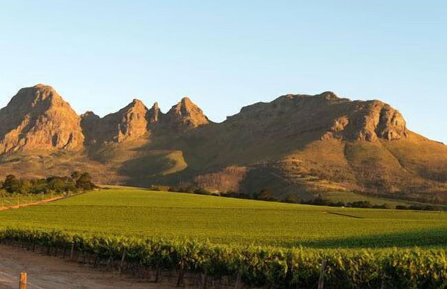 Dieu Donne Boutique Guest House Stellenbosch - Foto 14