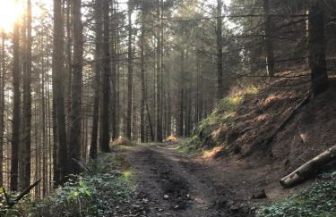 Granary at Tyddyn Isaf - Photo 31