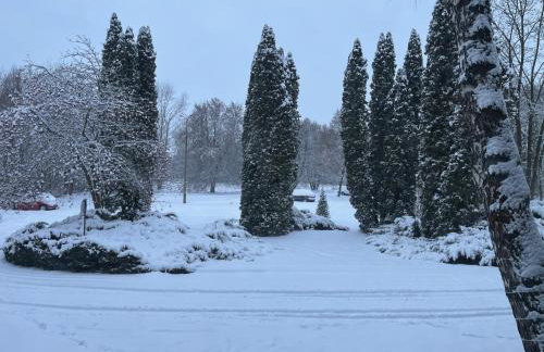 Gold Pearl Zegrze - Foto 53