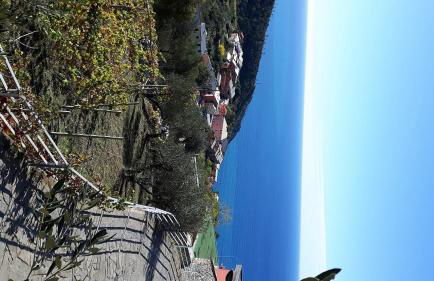 Case vacanza Reggimonti Cinque Terre - Foto 33