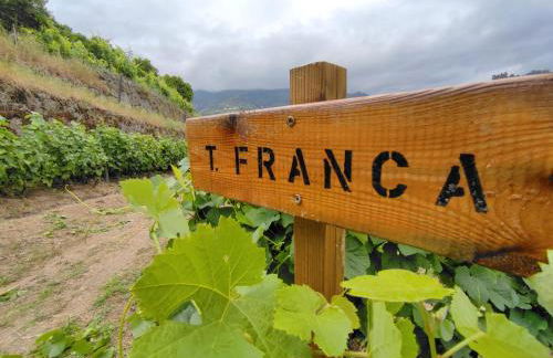 Quinta Barqueiros D'Ouro - Casa da Música - Photo 51