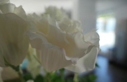 Gästehaus Jorde - FEWO König Ludwig - Foto 8