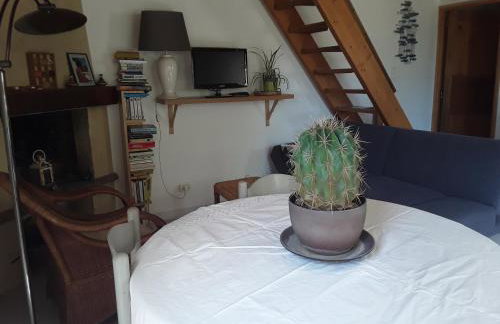 la petite maison - Foto 20