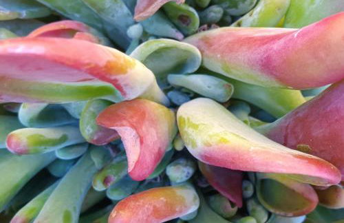 Résidence Marine de Palumbare - Foto 68