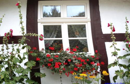 Wohnung in Ulrichshusen - Foto 11