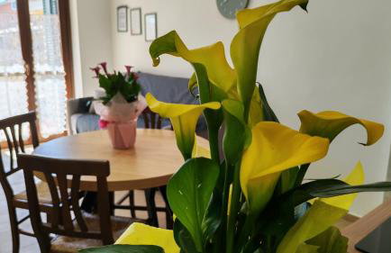 Casa di Sole - Foto 19