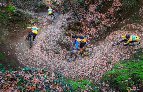 Nido d'Arte - Foto 18