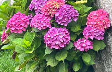 Un Paraiso Junto al Mar - Foto 13