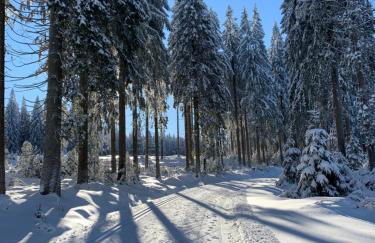 Rennsteig-Pension Trautwein - Foto 5