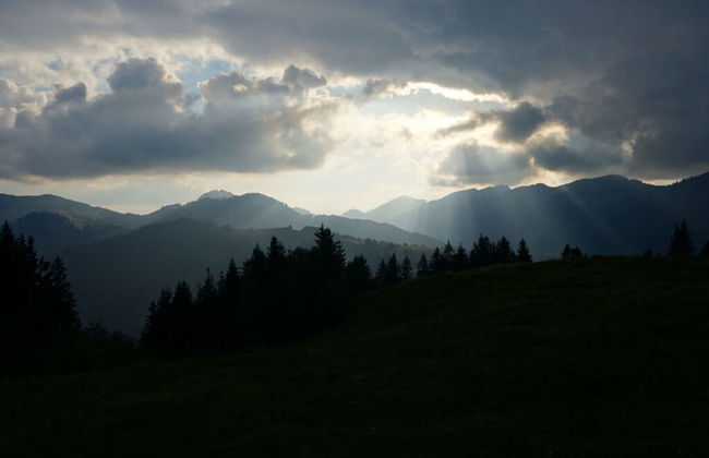 Bader Modern Retreat - Foto 15