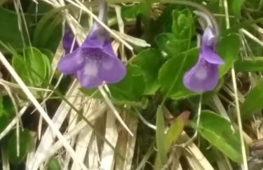 Villgraterhof - Foto 25