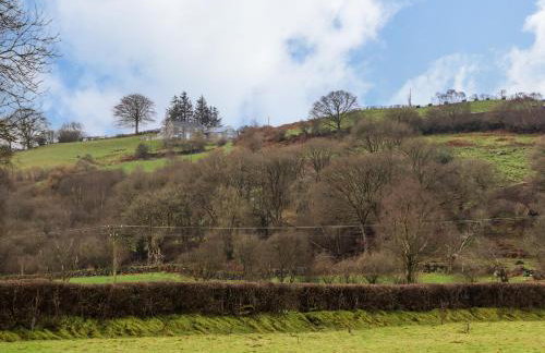 Bryn Mawndy - Foto 37