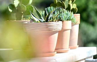 House Agava - Foto 38