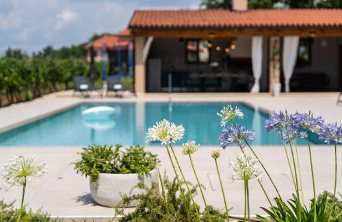 Vitis Apartment Istra - Foto 47