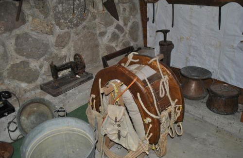 Azienda Agricola Biologica La Cardellina - Foto 55