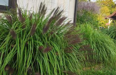 Wigierska Piertówka - Foto 46