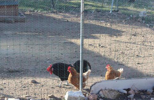 Finca el enebro - Foto 45