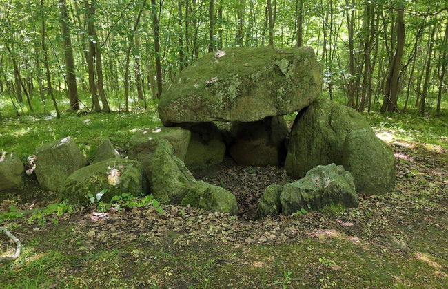 6 Person Holiday Home in Praesto-by Traum - Foto 4