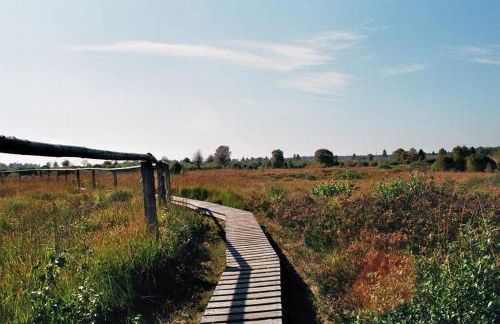 Weiher Lounge - Foto 20