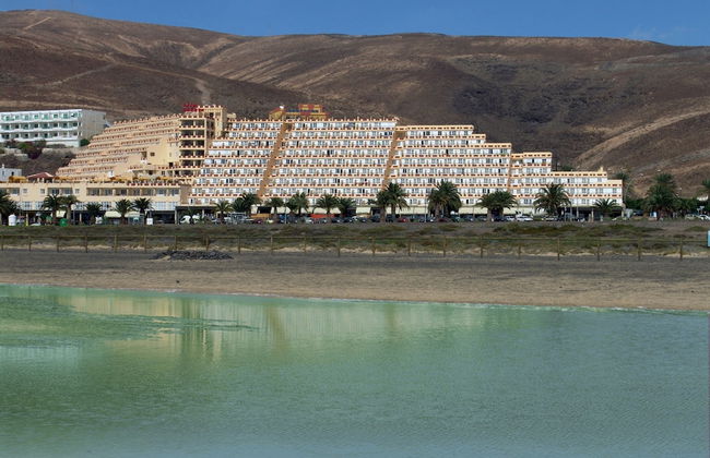 Palm Garden Apartments - Photo 33