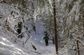 Haus Holzner-Nagl - Foto 12