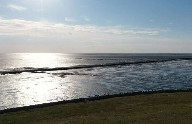 Sun, Mudflats and sea - Foto 37